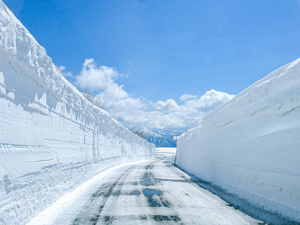八幡平アスピーテライン 雪の回廊